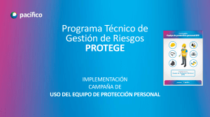 Programa de Uso de Equipo de Protecci&oacute;n Personal (EPP)