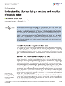Nucleic Acids: Structure and Function - Biochemistry Review