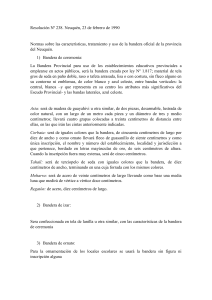 Reglamento de la Bandera de la Provincia de Neuqu&eacute;n: Uso Oficial