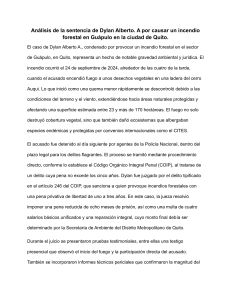 An&aacute;lisis Sentencia Incendio Forestal: Caso Dylan Alberto A.