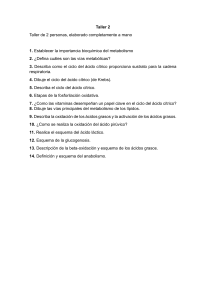Taller de Bioquímica: Metabolismo y Vías Metabólicas