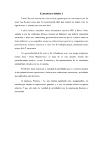 Experiencia en Práctica I