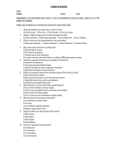 Examen de Biolog&iacute;a: Origen de la Vida y Evoluci&oacute;n
