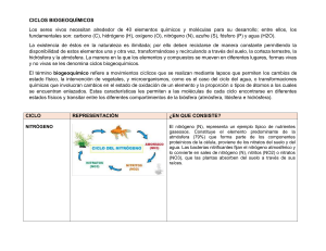 Ciclos Biogeoqu&iacute;micos: Nitr&oacute;geno, Azufre, Ox&iacute;geno y F&oacute;sforo