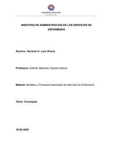 Conceptos de Enfermer&iacute;a: Filosof&iacute;a, Teor&iacute;a y Metaparadigma