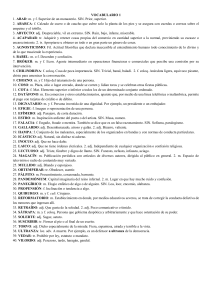 Vocabulario en Espa&ntilde;ol: Lista de Palabras y Definiciones