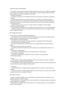 Anatom&iacute;a y Fisiolog&iacute;a Card&iacute;aca: Gu&iacute;a Completa
