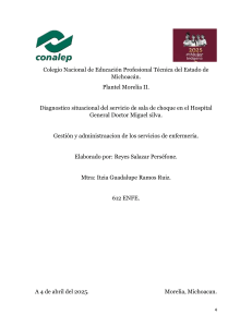 Informe Diagn&oacute;stico Situacional Sala de Choque Hospital