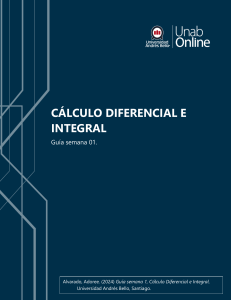 Guía de Ejercicios: Cálculo Diferencial e Integral