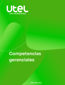 Competencias Gerenciales: Liderazgo, Trabajo en Equipo y Conflictos