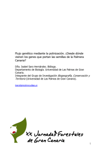 Flujo Genético y Polinización en la Palmera Canaria