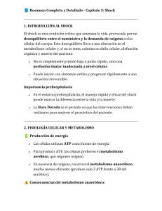 Shock: Resumen Completo y Detallado - Cap&iacute;tulo 3