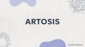 Artrosis de Cadera: Causas, Tratamiento y Prótesis