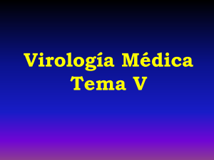 Virología Médica: Conceptos, Estructura y Replicación Viral