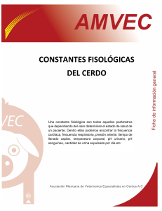 Constantes Fisiol&oacute;gicas en Cerdos: Gu&iacute;a Veterinaria