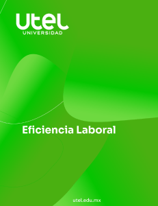 Eficiencia Laboral: Inserción, Currículum y Entrevista