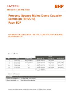 Optimizaci&oacute;n de Muros de Contenci&oacute;n: Proyecto Spence Ripios