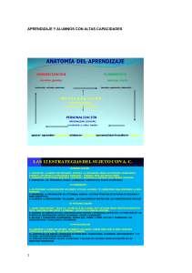 Aprendizaje y Alumnos con Altas Capacidades