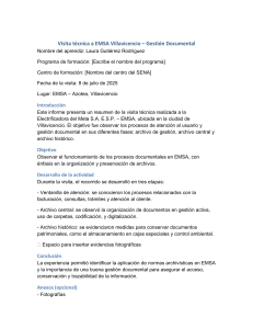 Informe Visita T&eacute;cnica Gesti&oacute;n Documental EMSA Villavicencio