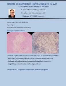 Hepatitis Necr&oacute;tica en Pollitos: Reporte Histopatol&oacute;gico