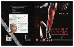 Anatom&iacute;a y Fisiolog&iacute;a: Saladin 6a Edici&oacute;n