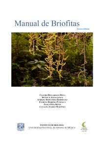 Manual de Briofitas: Gu&iacute;a Completa para el Estudio de Musgos y Hep&aacute;ticas