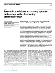 Serotonin & Synapse Maturation in Prefrontal Cortex