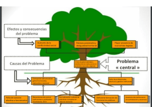 Causas y Consecuencias de la Crisis de Gobernabilidad