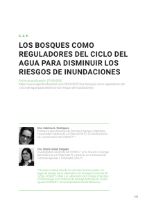 Bosques y ciclo del agua: Reducci&oacute;n de riesgos de inundaci&oacute;n