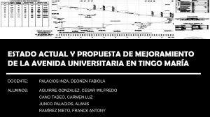 Mejoramiento Av. Universitaria Tingo Mar&iacute;a: Estado y Propuesta