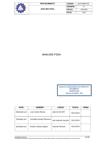Procedimiento An&aacute;lisis FODA - Empresa Minera