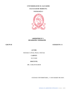 Inflamaci&oacute;n y Reparaci&oacute;n: Manual de Laboratorio Patolog&iacute;a I