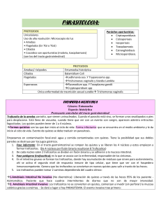 Parasitología: Protozoos, Entamoeba y Giardia