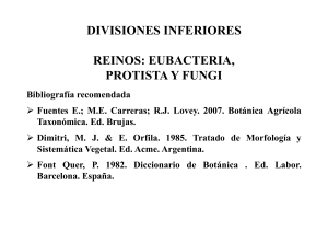 Eubacteria, Protista y Fungi: Divisiones Inferiores