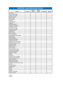 Ejercicio Clasificaci&oacute;n Ciclos Contables