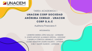 Tarea Auditor&iacute;a Financiera UNACEM Corp