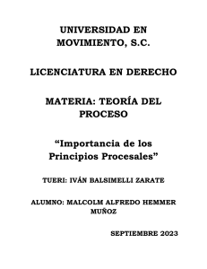 Principios Procesales: Importancia en la Teor&iacute;a del Proceso