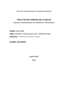 Aparato Cardiovascular y Respiratorio: Tarea de Anatomía