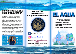 El Agua: Funciones, Importancia y Conservaci&oacute;n