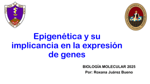 Epigen&eacute;tica y Expresi&oacute;n G&eacute;nica: Biolog&iacute;a Molecular 2025