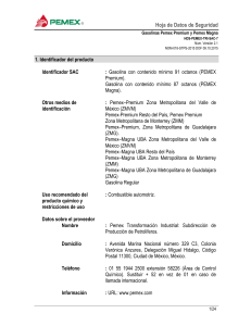 HDS Gasolina Pemex: Datos de Seguridad e Informaci&oacute;n de Riesgos