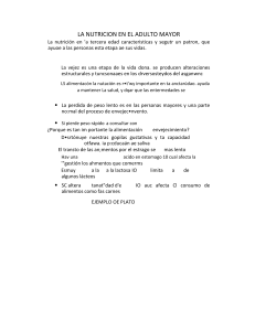 Nutrici&oacute;n en el Adulto Mayor: Gu&iacute;a Alimentaria