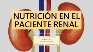 Nutrición en el Paciente Renal: Guía Completa