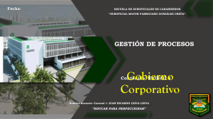 Gobierno Corporativo en Carabineros de Chile: OCDE y Tres L&iacute;neas