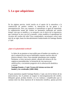 Plasticidad Cerebral: Aprendizaje y Neuronas