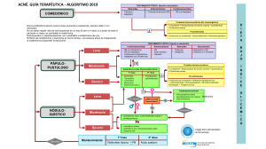 Acn&eacute;: Gu&iacute;a Terap&eacute;utica - Algoritmo 2019