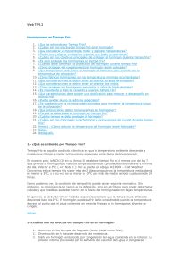 Hormigonado en Tiempo Fr&iacute;o: Consejos y Precauciones