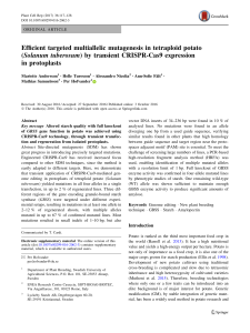 CRISPR-Cas9 Mutagenesis in Tetraploid Potato: GBSS Gene Editing