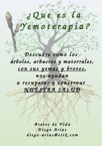 Yemoterapia: Descubre el poder curativo de las yemas