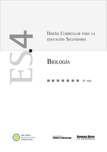 Dise&ntilde;o Curricular Biolog&iacute;a 4&ordm; A&ntilde;o - Educaci&oacute;n Secundaria
